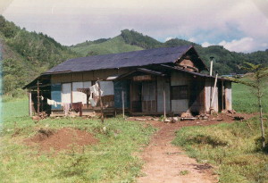 Kimpu Farm 1966